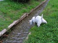 Klik op de foto voor groter formaat